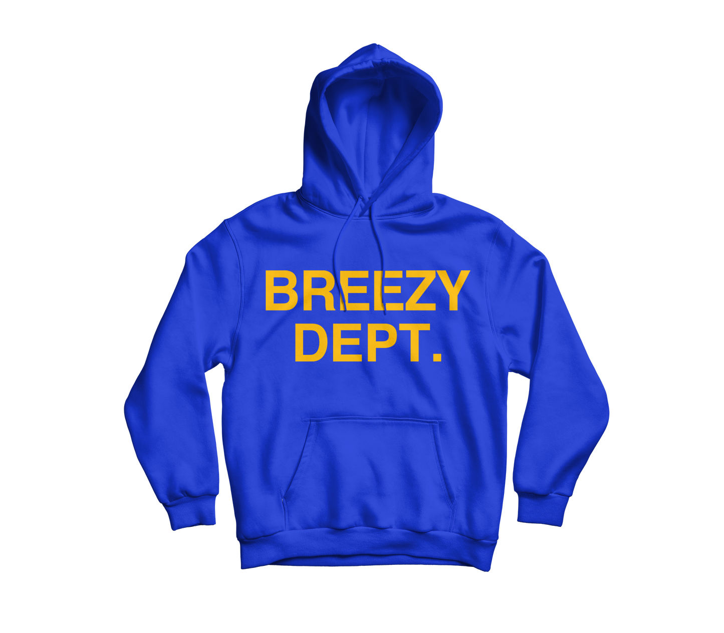 Blue Hoodie