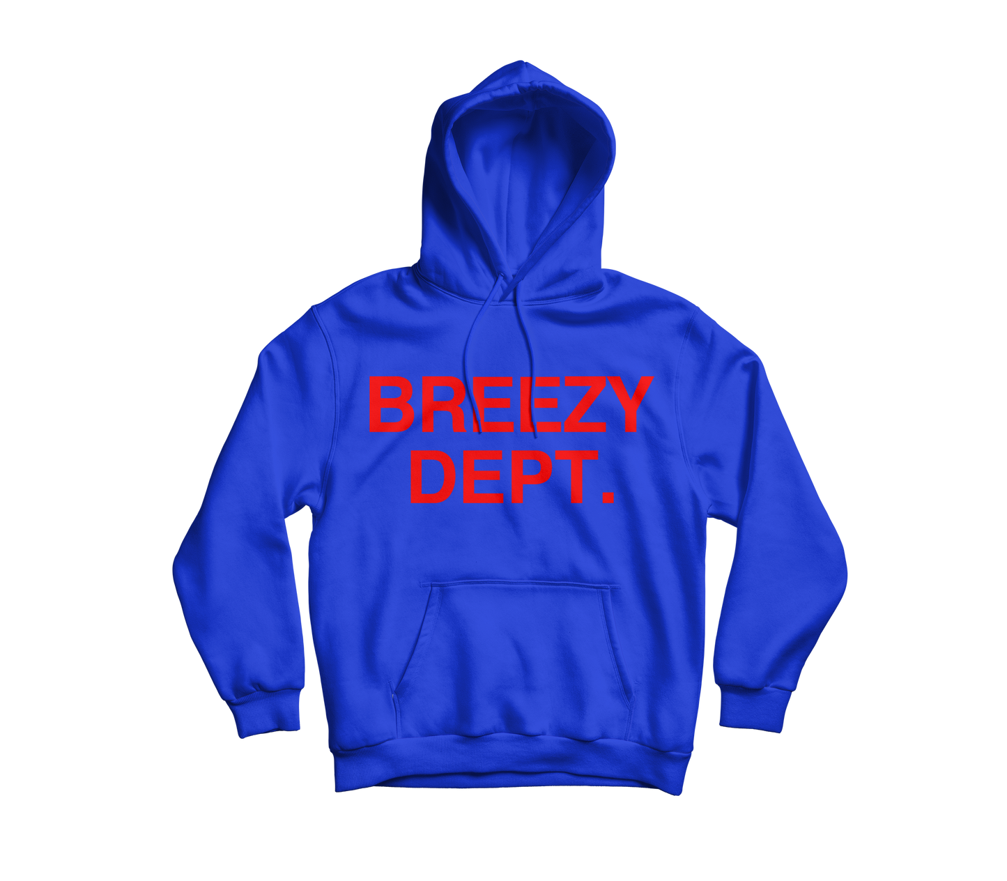 Blue Hoodie